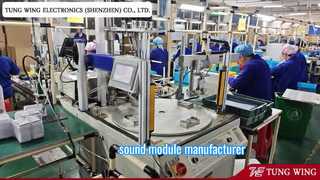 Fabricante profissional de livros sonoros